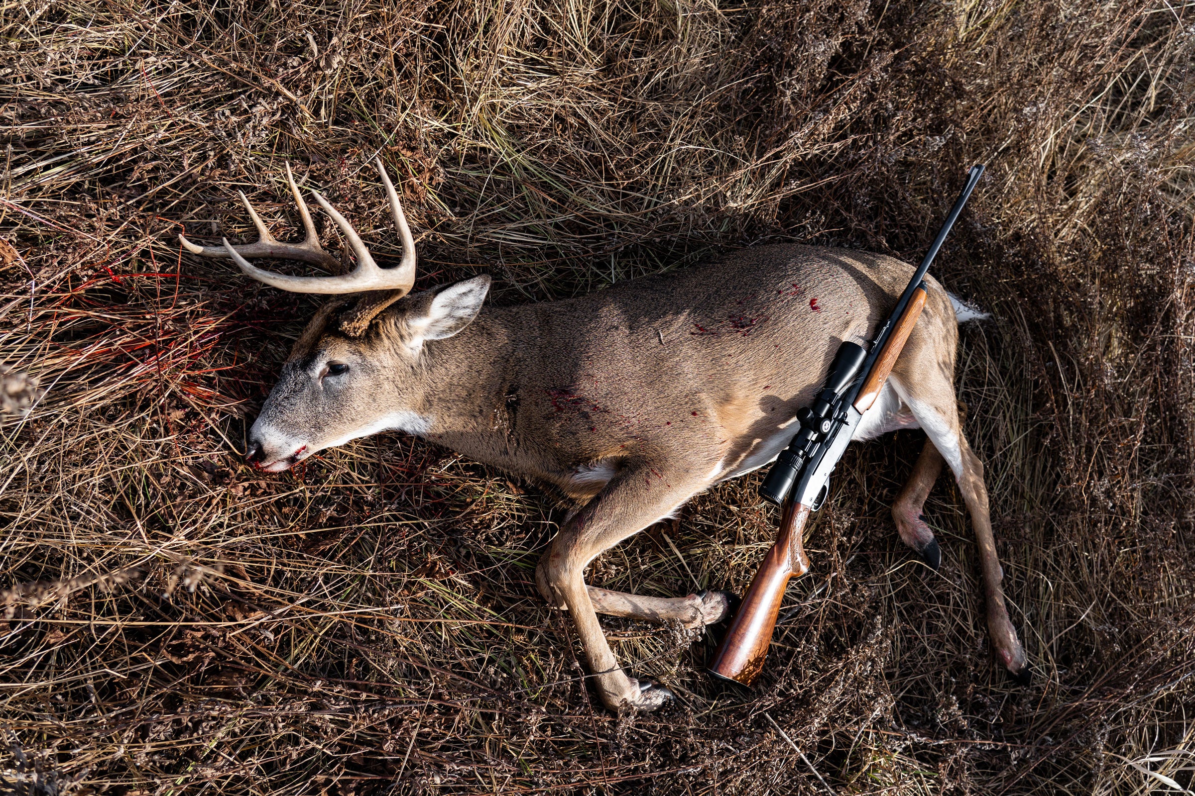 State Summary: Wisconsin
