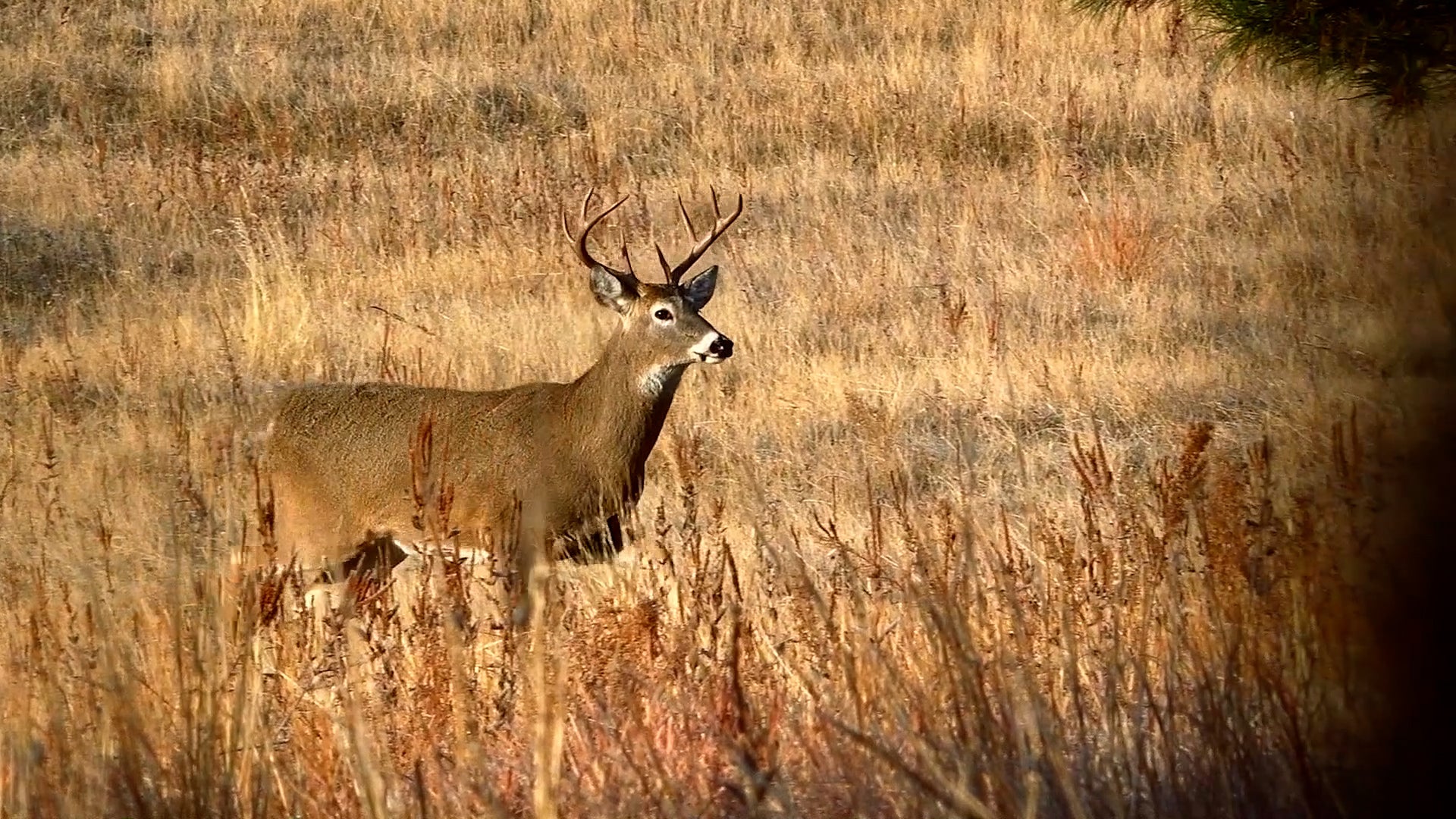 State Summary: South Dakota