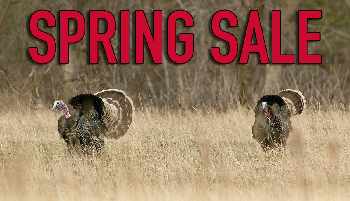 Spring sale 25